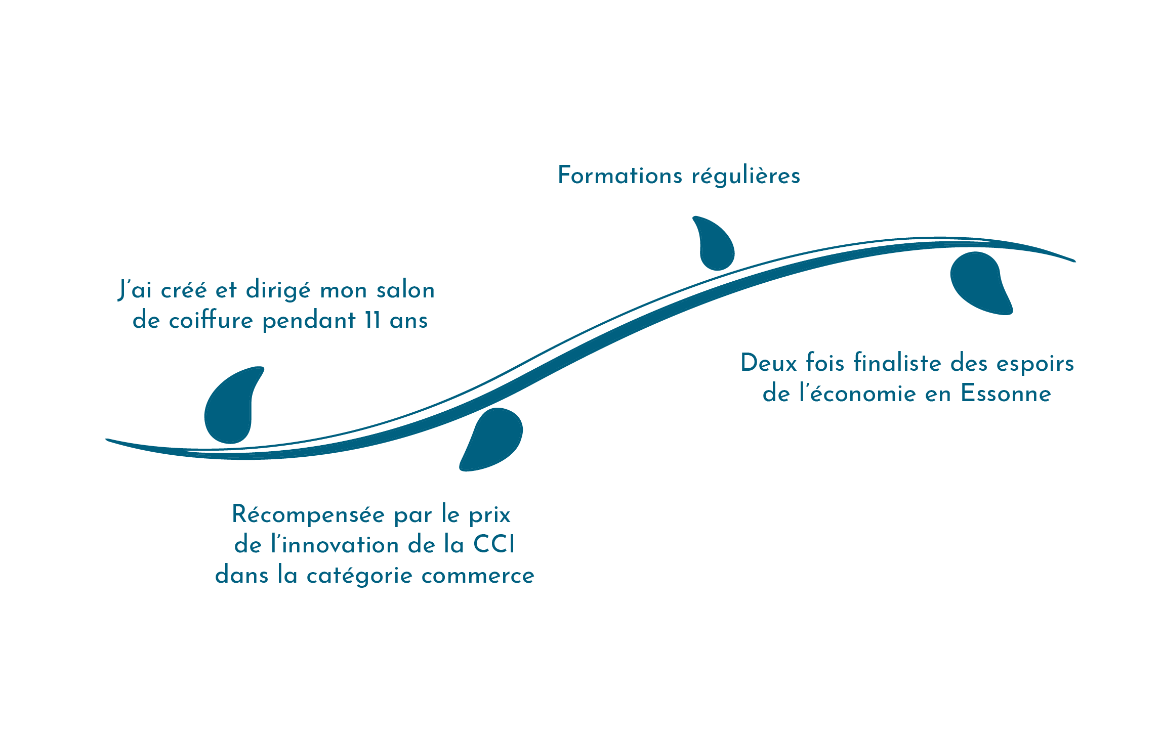Parcours professionnel Emmanuelle Trubert Cherrier